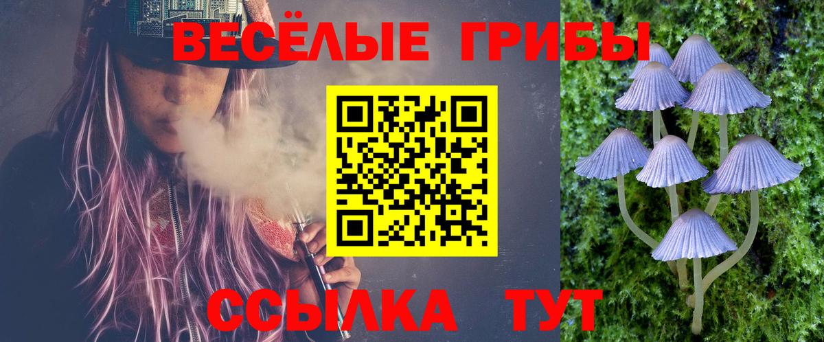 Жуковский  Галлюциногенные грибы Psilocybe  Вход с VPN 