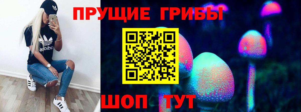 Галлюциногенные грибы Cubensis Жуковский
